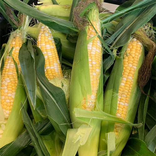 Fresh wholesale and retail fruits and vegetables Directions to Tom Strain & Sons Farm Market and Garden Center, 5041 Hill Avenue, Toledo, Ohio