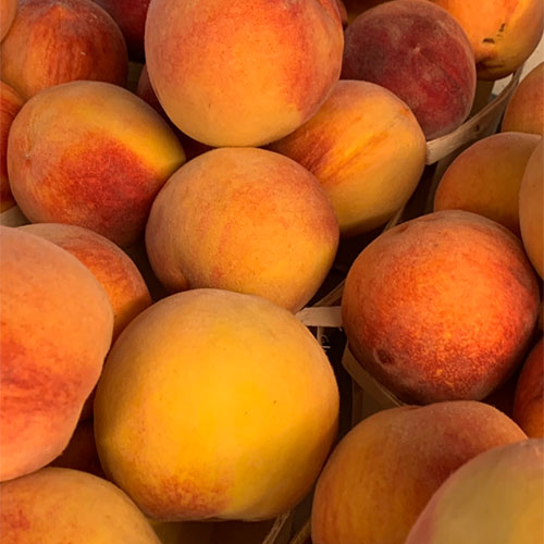 Locally grown, farm fresh produce including apples, green beans, brussel sprouts, tomatoes, sweet corn and more at Tom Strain and Sons in Toledo, Ohio!