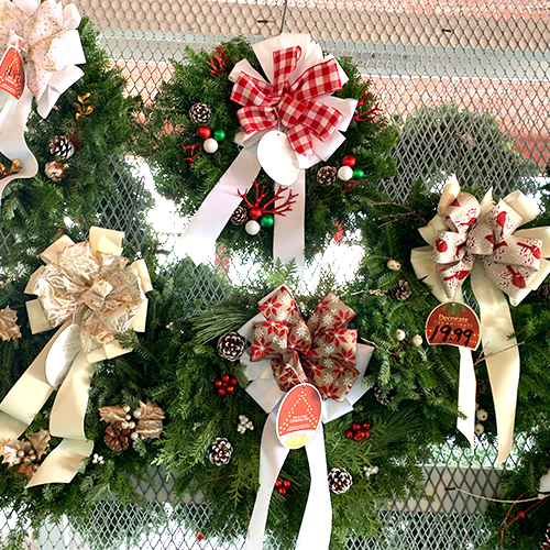 Christmas trees, poinsettias and festive holiday decor available at Tom Strain and Sons in Toledo, Ohio!